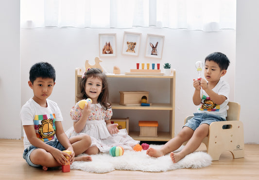 Montessori Shelf - Standard