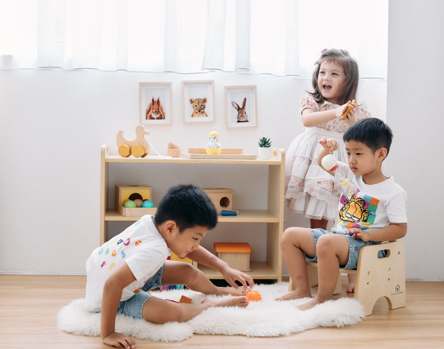 Montessori Shelf - Standard