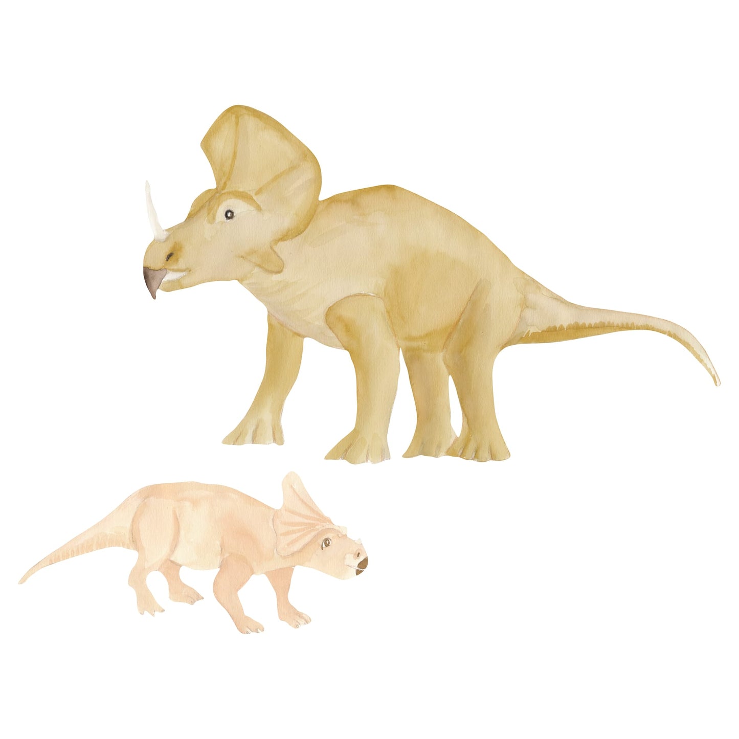 Triceratops,Brown&rose (Pre-order,2-4 weeks)