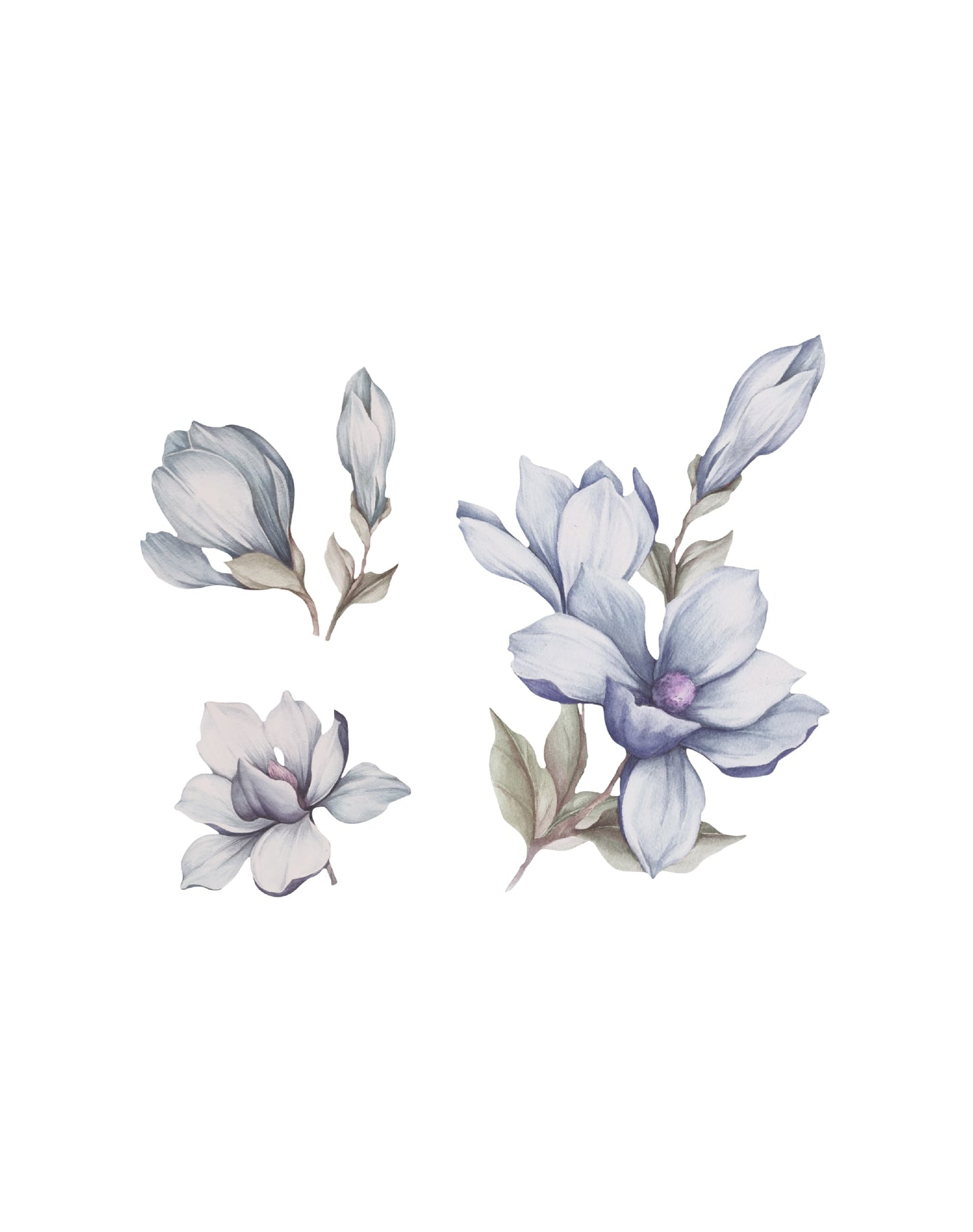 Magnolia,Blue(Pre-orders,2-4 weeks)